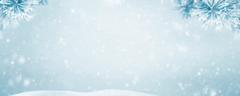 CQC_Holiday Message Website 2025